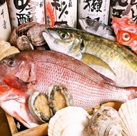 鮮度抜群！厳選鮮魚をお値打ちにご提供☆