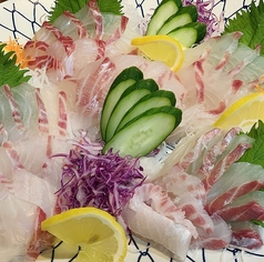 鯛/ヒラメ