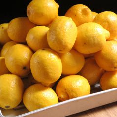 《おかわり自由！》生絞りレモンサワーとも相性◎