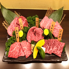 Bセット（5種）