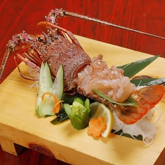 宮崎県産 伊勢海老のお造り(お味噌汁付)※提供期間は9月~3月