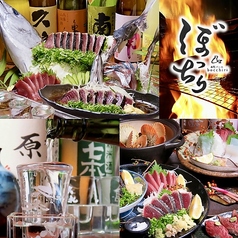 居酒屋 ぼっちり 高知店の写真