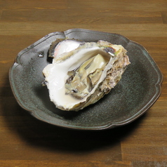 生牡蠣　特大