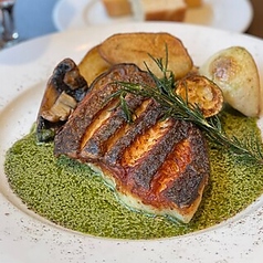 MARCO マルコのコース写真