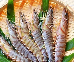 熊本馬肉料理と熊本ステーキの店 ニューくまもと亭のコース写真