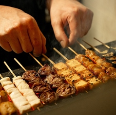 ミヤコ鳥の写真