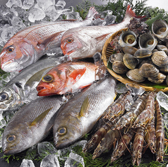 粗末イイコトスル団 魚串の特集写真