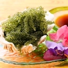 おきなわ食彩ダイニング 琉花のおすすめポイント1