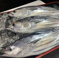 徳島県南宍喰産、鳴門産を中心に集める鮮魚