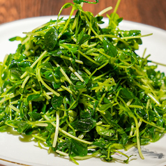 トウミョウ炒め