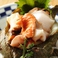 生牡蠣、活きサザエ、活きホタテ　/ Raw oysters turban shell scallop