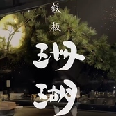 天ぷら 鉄板 珊瑚の詳細