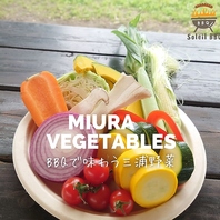 数量限定！三浦野菜セット《1,100円(税込)》