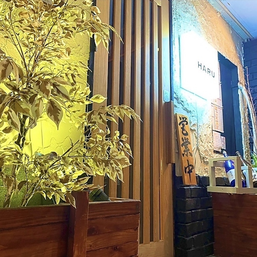 彩り鮮やかな新鮮鮮魚と創作料理が楽しめる和食居酒屋「HARU」、こだわりの逸品をコスパ良くご提供♪