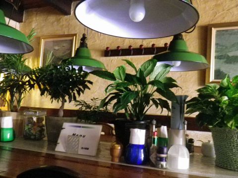 机の部屋 摂津本山 洋食 ホットペッパーグルメ