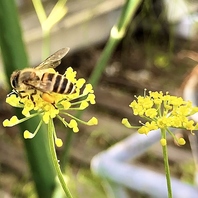 この場所ならではのひとときを