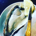 料理メニュー写真 本日の活生食　岩牡蠣・真牡蠣