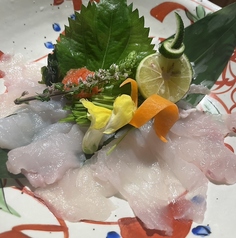 とらふぐてっさ