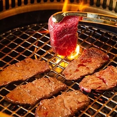 TOU トウのコース写真