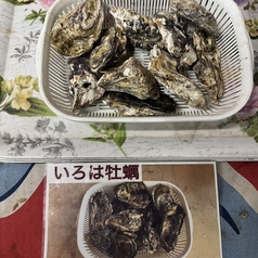 いろは牡蠣
