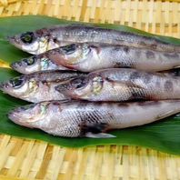 【鮮度抜群のメヒカリ♪】愛知県蒲郡といえばこれ！