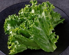 お野菜単品