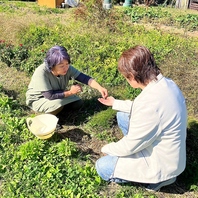 【こだわり野菜】無農薬で育てたものを使用