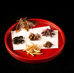 6種の昆虫食べ比べセット〈初級〉〈上級〉〈超上級〉