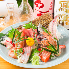 和食居酒屋 魚升 うおます 新橋SL広場前店特集写真1