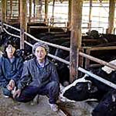 【旭産しあわせ絆牛】千葉県のブランド牛「チバザビーフ」の一つ。サーロイン＝ロースのなかでも「サー」の称号を持つ最高の部位.