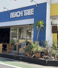 CAFE BEACH TREE ビーチツリーの写真