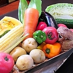 【旬食材】素材を引き立たせる職人技、一番美味しい食材を特別な仕入れルートから仕入れています。