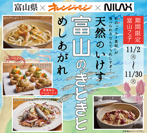 てとてファーム 上小田井店 名古屋市西区 イタリアン フレンチ ホットペッパーグルメ