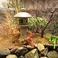 中庭は石灯籠と季節の樹木を配した、純和風の正統派。大人の時間をお楽しみください。