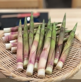 お酒と飯たしなみのおすすめ料理2