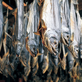 料理メニュー写真 村上の塩引鮭