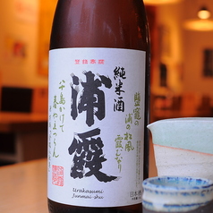 浦霞 純米