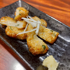 屋久島揚げ