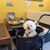 カフェアンドダイニング村上 デイズの雰囲気3