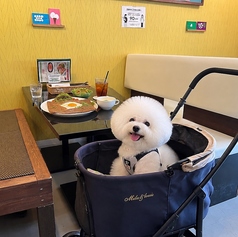 カフェアンドダイニング村上 デイズの雰囲気3