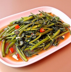 パックブーンファイデーン（M）