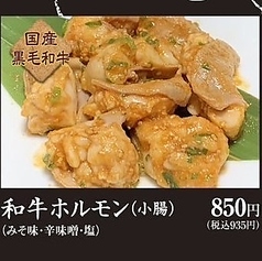 〈国産黒毛和牛〉和牛ホルモン(小腸)(みそ味・辛味噌・塩)