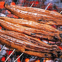 【土佐のいごっそう】天然の青魚や白身魚を食べて育ち、脂ののりが良く力強いのが特徴。