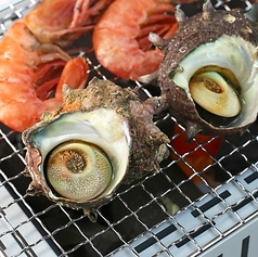 船盛 縁月のコース写真