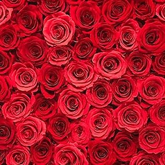 Restaurant SORA (レストラン ソラ）のおすすめ料理2