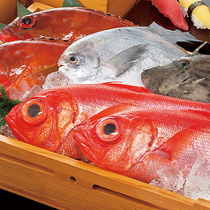 本日の一本魚[お好みの魚種・調理法で提供いたします]