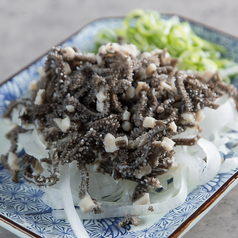 生センマイ