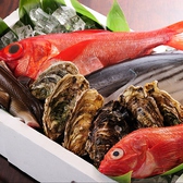 新鮮なお魚を全国から取り寄せております。お刺身から焼き物まで、さまざまな形でご提供いたします。