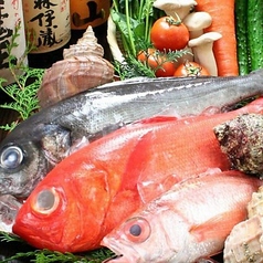 華の粋 新橋総本店のおすすめ料理1