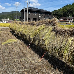 広島県産「ヒノヒカリ」を使用！